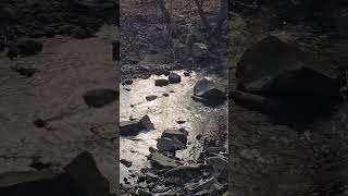 Winter Sun sparkling on the water