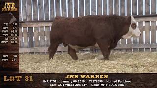 JNR Lot 31