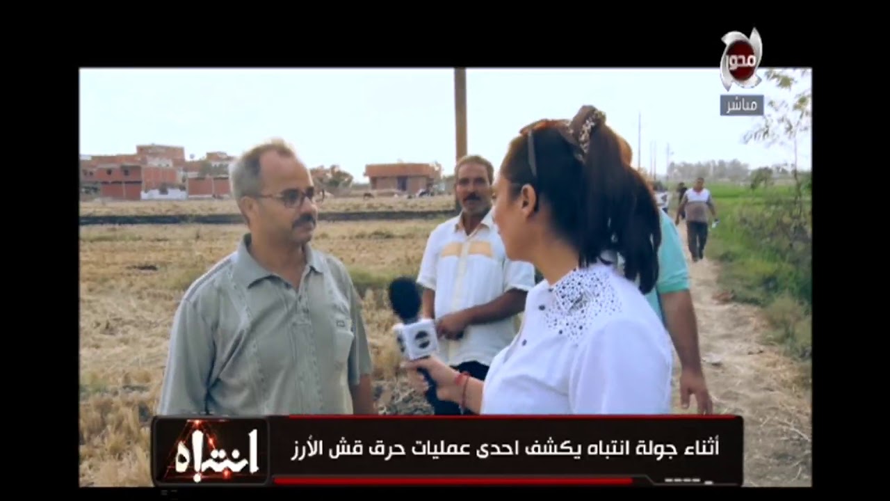 أنتباة - وزارة البيئة : غرامة حرق قش الأرز من 5 آلاف إلى 100 ألف جنيه