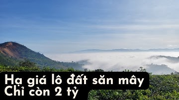 #125 Chủ đất kẹt tiền nên hạ giá lô đất view săn mây Lộc Thành siêu đẹp. Đồi Chân Mây - Lộc Thành.