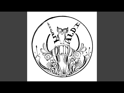 Zigan Aldi - Olin