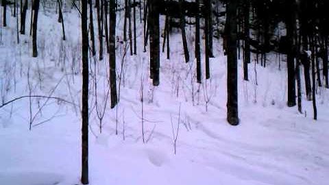 Snowmobile vs tree in da UP