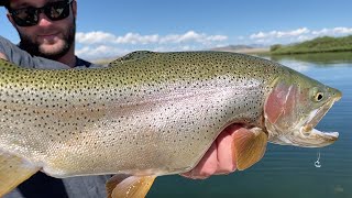 I NEVER CATCH this SPECIES  Fly Fishing Spinney Mountain in Colorado for LARGE TROUT