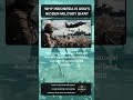 Why Indonesia Is Asia’s Hidden Military Giant 🇮🇩⚔️ #militarypower #military #shorts