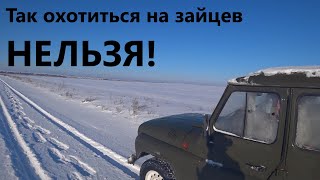 Так охотиться на зайцев НЕЛЬЗЯ!