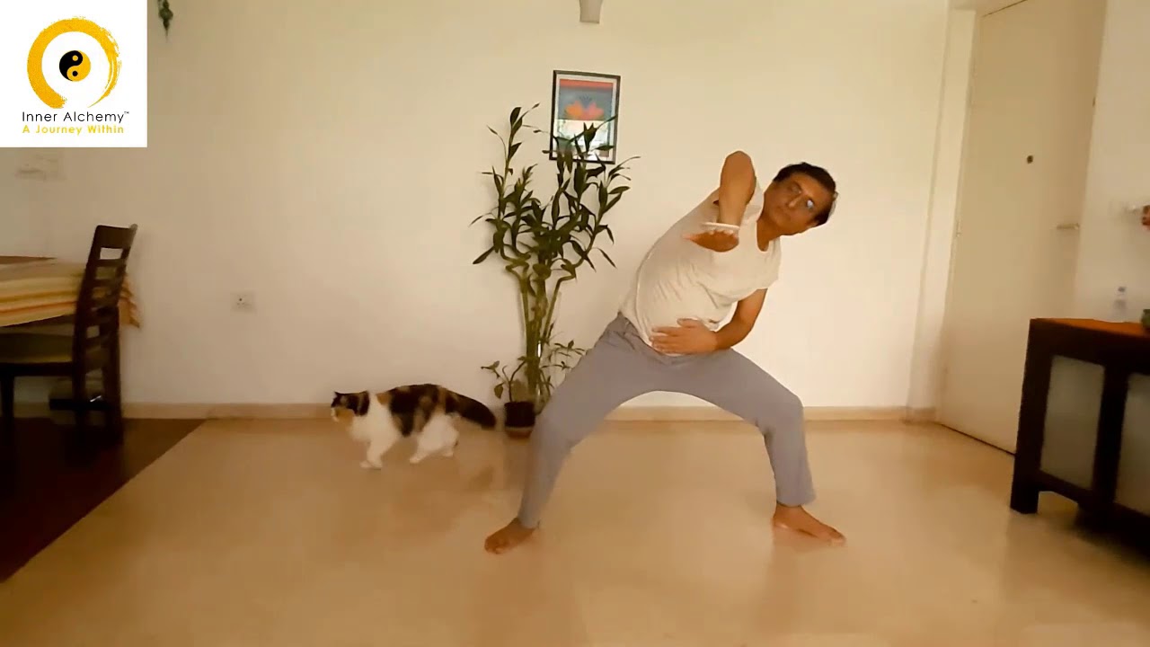 Tea Cup Qigong YouTube