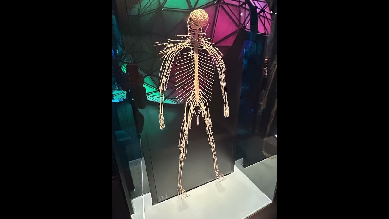 CosmoCaixa Barcelona — El Museo de Ciencia