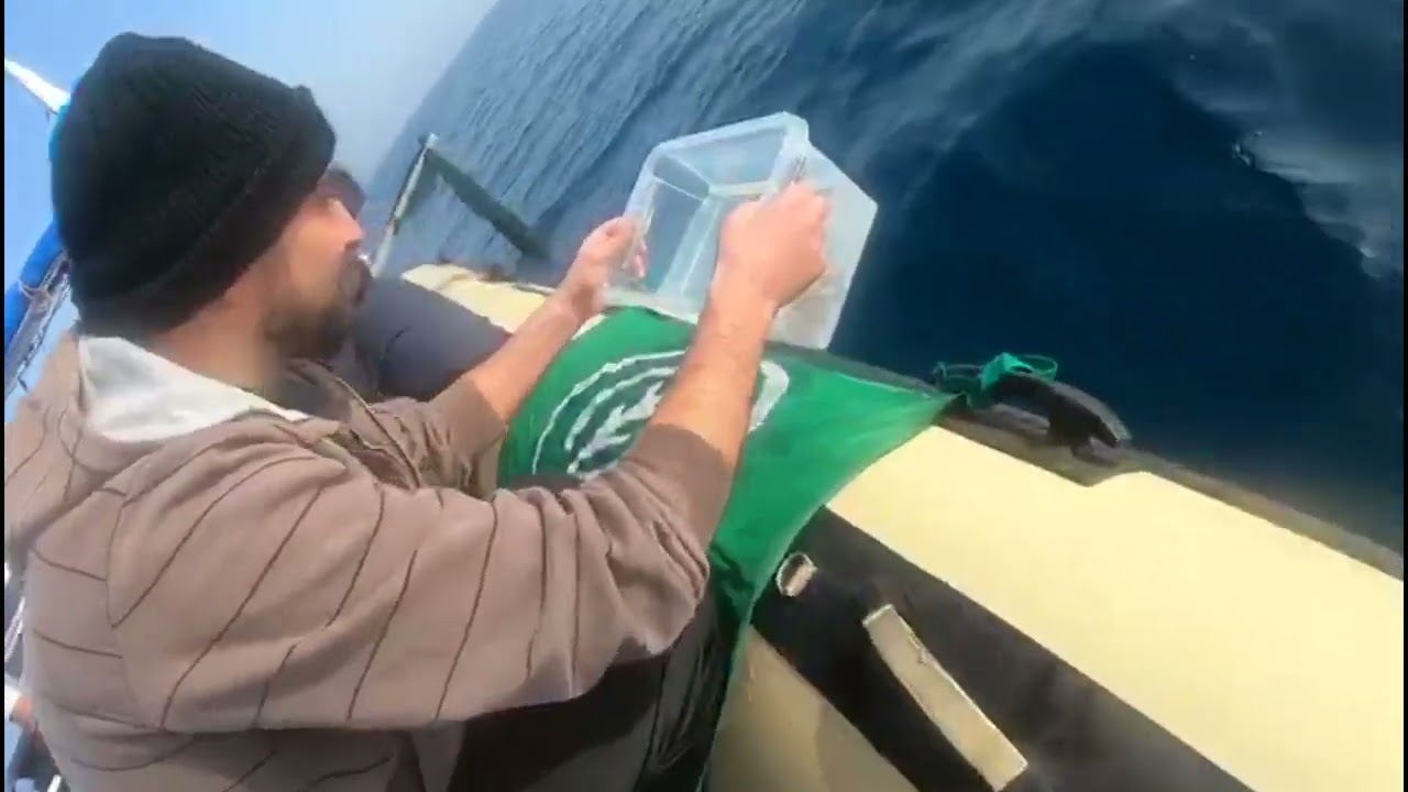 progetto NORA liberazione  Astrospartus mediterraneus