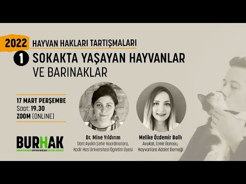 Video: Bir Köpek Yavruları İçin Daha Fazla Süt Üretmeye Nasıl Yardım Edebiliriz?