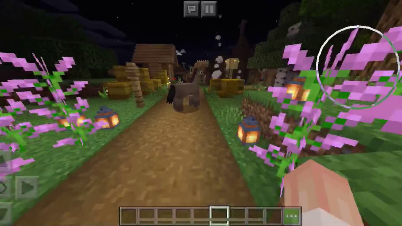 Theology project🦔