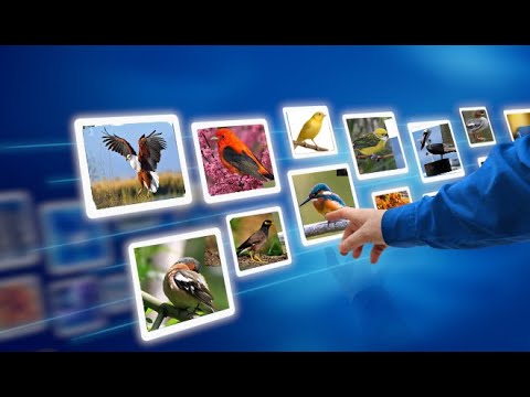 Ebird Book - YouTube