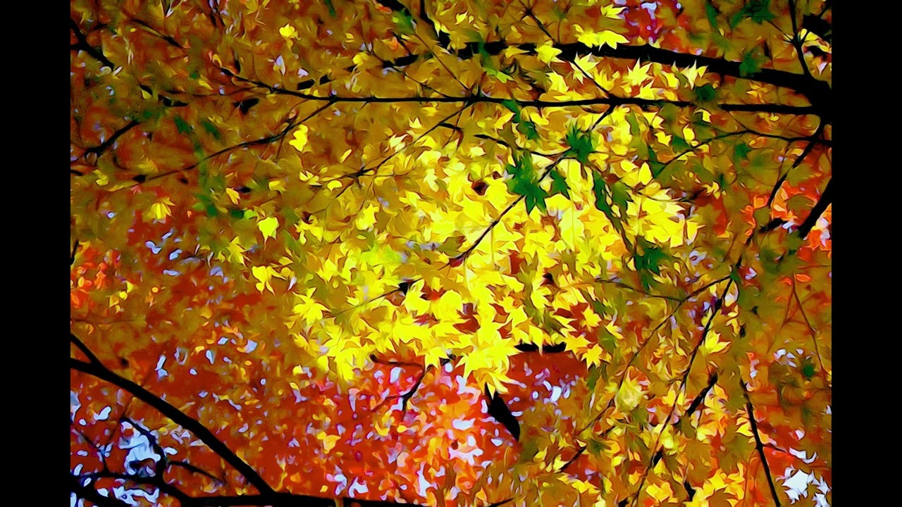 DivKid - Rinse Repeat