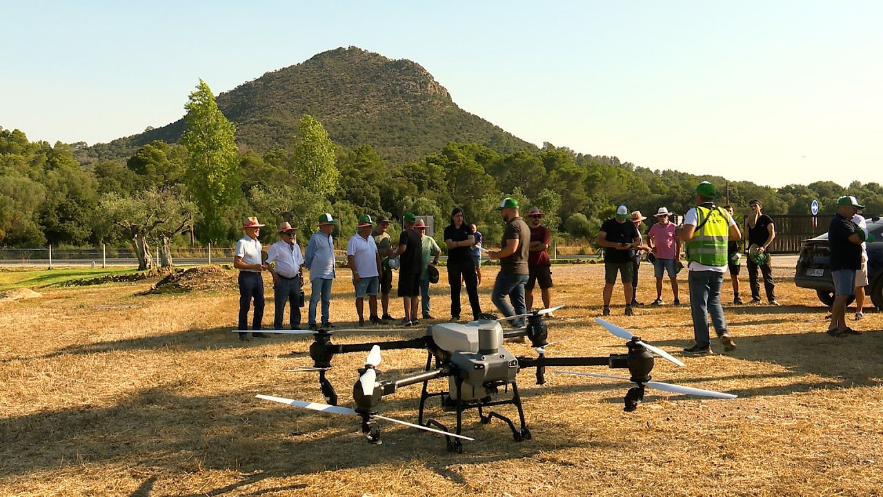 Dron per esquitar oliveres i arbres fruiters a Inca - Uep IB3