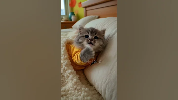 Video 11083391: funniest cutest pets, funny animals compilation, pets funny cute, cat