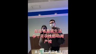 孕晚期40周产检 #日本生活#