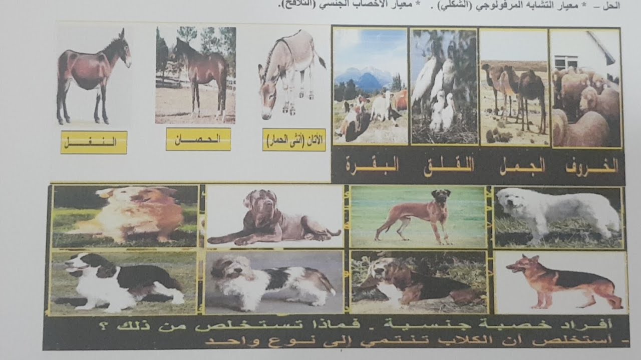 علوم الطبيعة والحياة الثانية متوسط الفصل الثالث