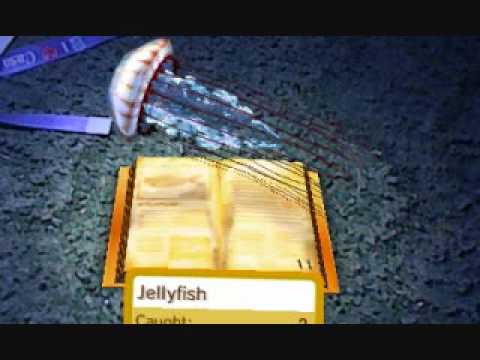 Nintendo 3DS: All 31 Fish in AR. - YouTube