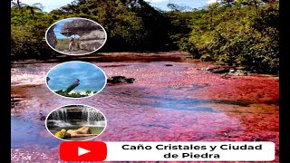 Caño Cristales y ciudad de piedra 4K