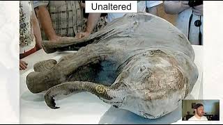 GLG102IN Online - Unit 5 Section 3 - Fossils