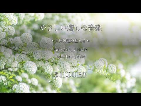 YouTube Music