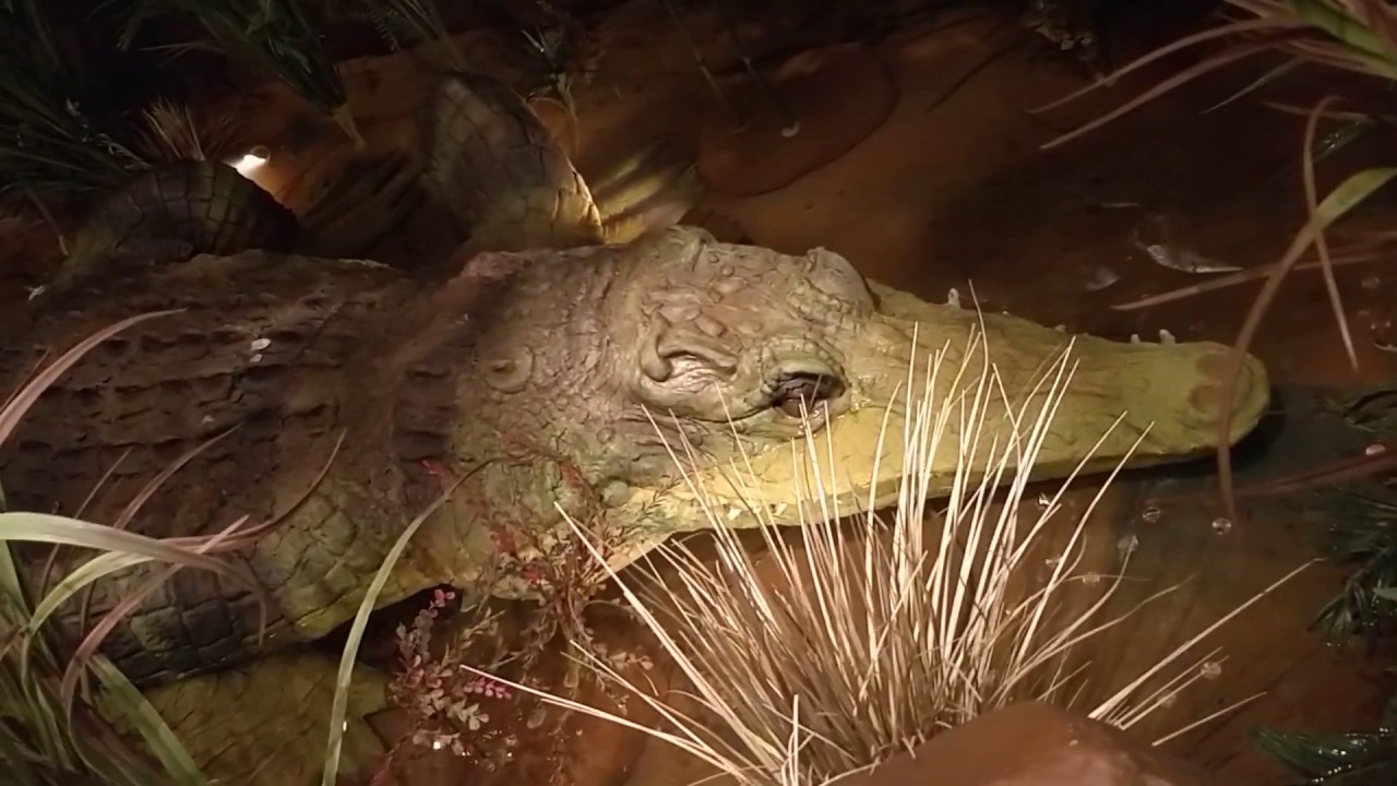 Atlantic City Rainforest cafe-2