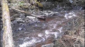 AutoQ - Field validation in 