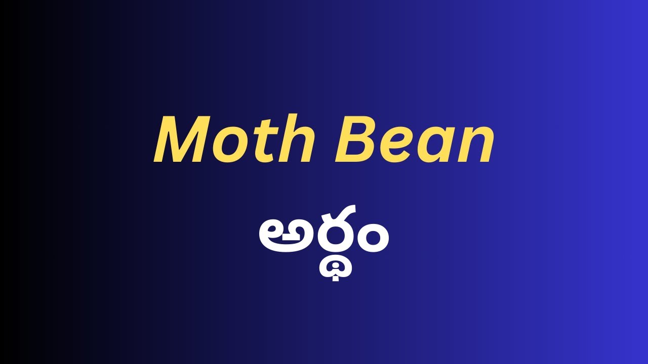 moth-bean-meaning-in-telugu-with-examples-moth-bean