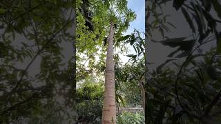 My Small Garden 😍🌿| Daily Mini Vlog India | Garden Setup &amp; Plants