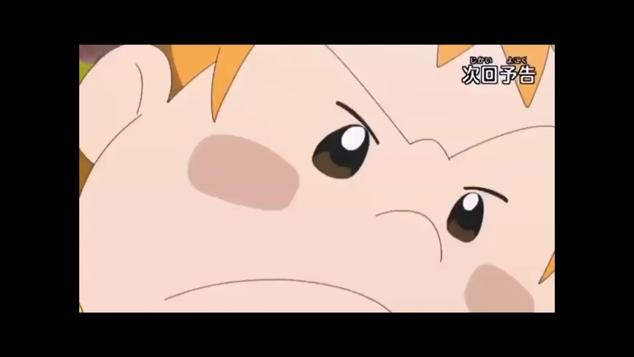 Pokémon sun and moon episode 132 preview (HD)