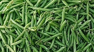 Khalilabad market live video, live streaming, YouTube live, viral video #short#shortfeed