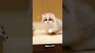 When the Tiny Cloud Hears the Magic Bell… Reality Starts Glitching! ✨😹#ViralCats #FYP