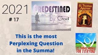 St. Thomas Aquinas' teaching on Predestination is the most perplexing question in the Summa.