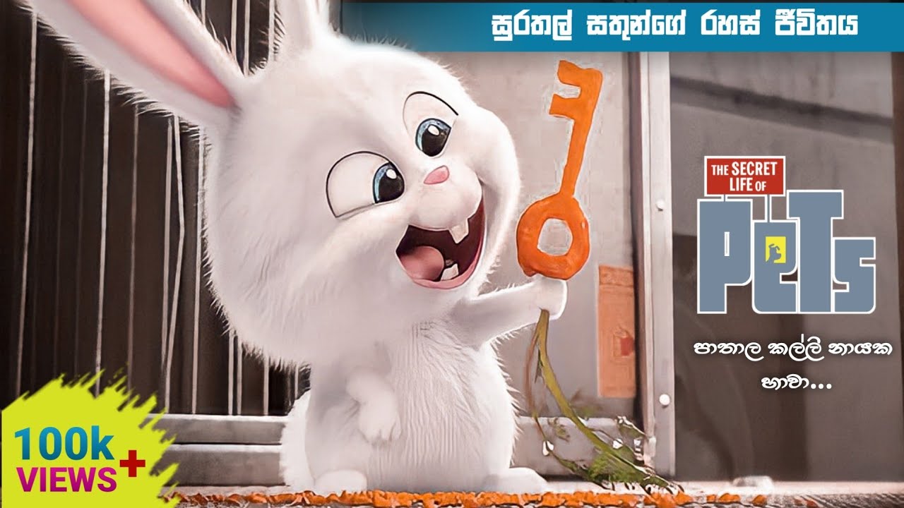 The secret life of pets full movie | හරතලුන්ගේ රහස් ජීවිතය  සම්පූර්ණ කතාවම සින්හලෙන්