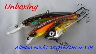 Unboxing #13: AllBlue Realis 100SR/DR and VIB