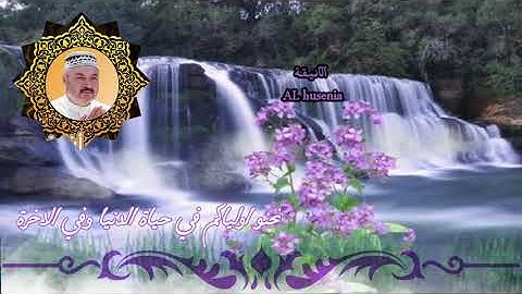 اجمل تلاوه حزينه💔 القران الكريم بطور العراقي القارئ عامر الكاظمي/حالات واتساب دينيه ستوري انستا2021