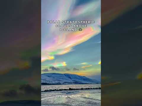 Polar Stratospheric Clouds: