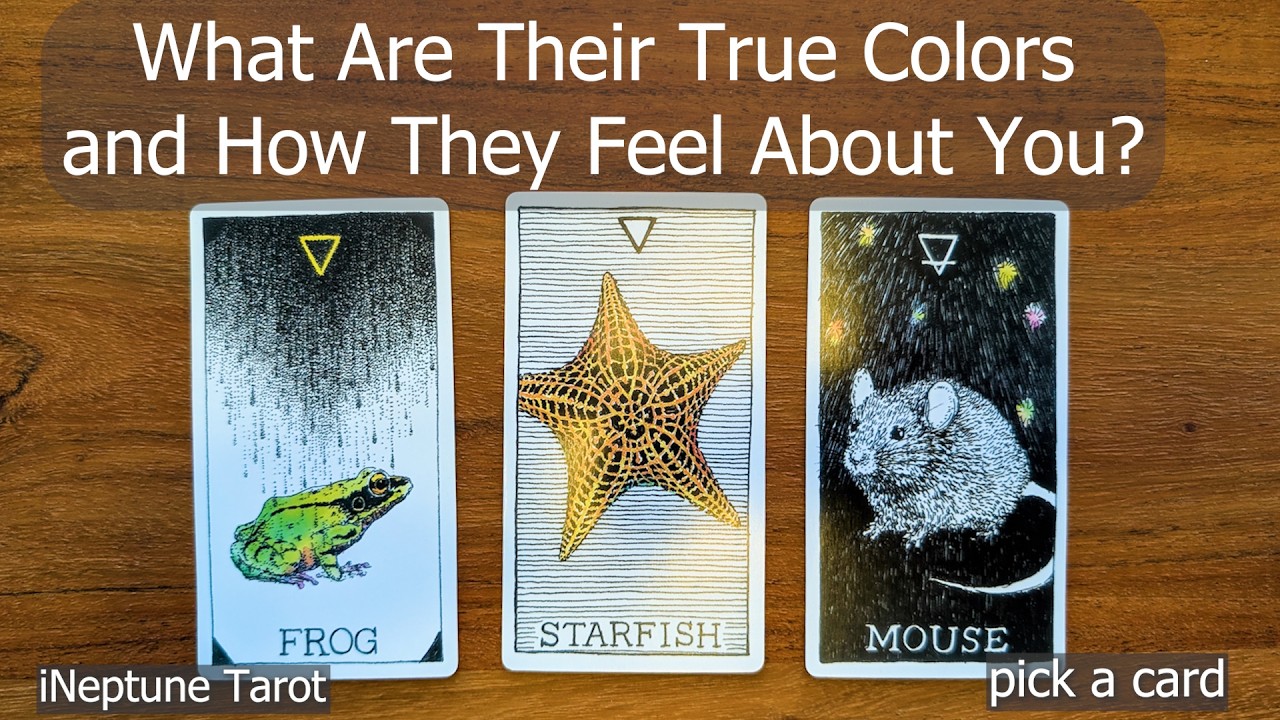 Их истинная сущность и их отношение к вам 🌊 | Гадание на картах Таро (Вне времени)