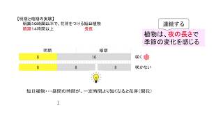 長日植物と短日植物 Youtube 長日植物と短日植物 Youtube