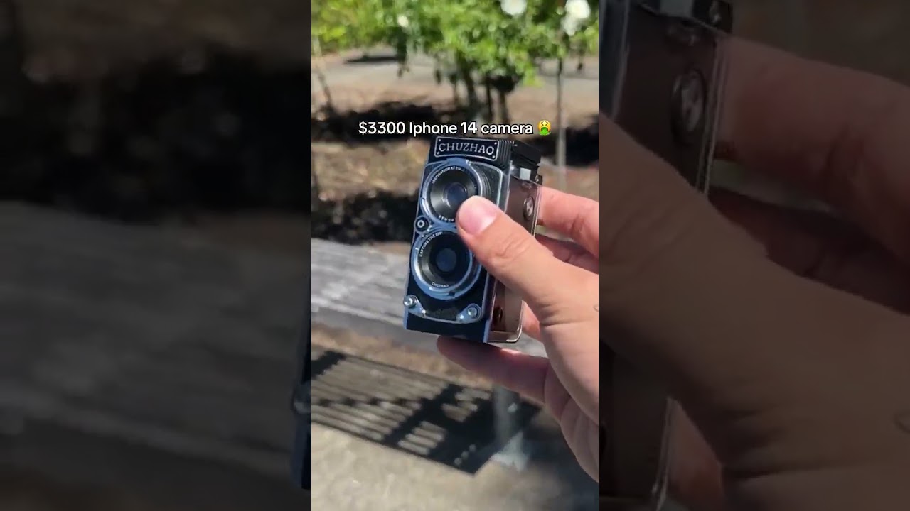 They're so beautiful 