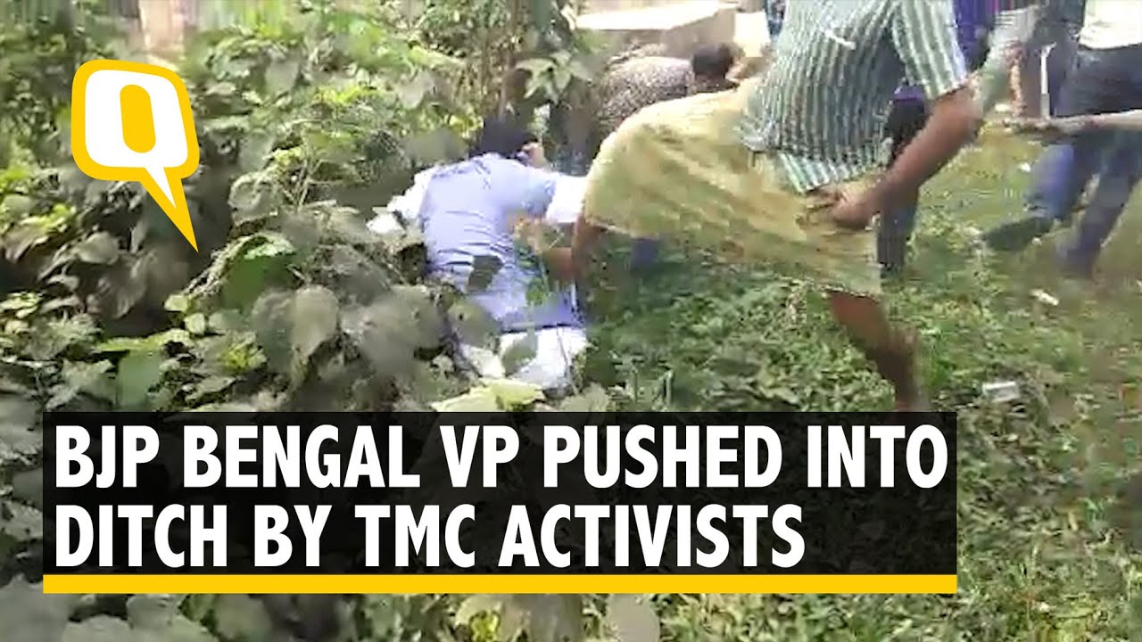 Bengal BJP Vice President Kicked Into a Ditch By TMC Activists  The Quint