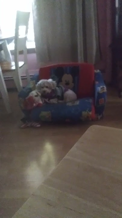 Hello Sophia Did You Have Your Lunch YouTube hello-sophia-did-you-have-your-lunch-youtube
