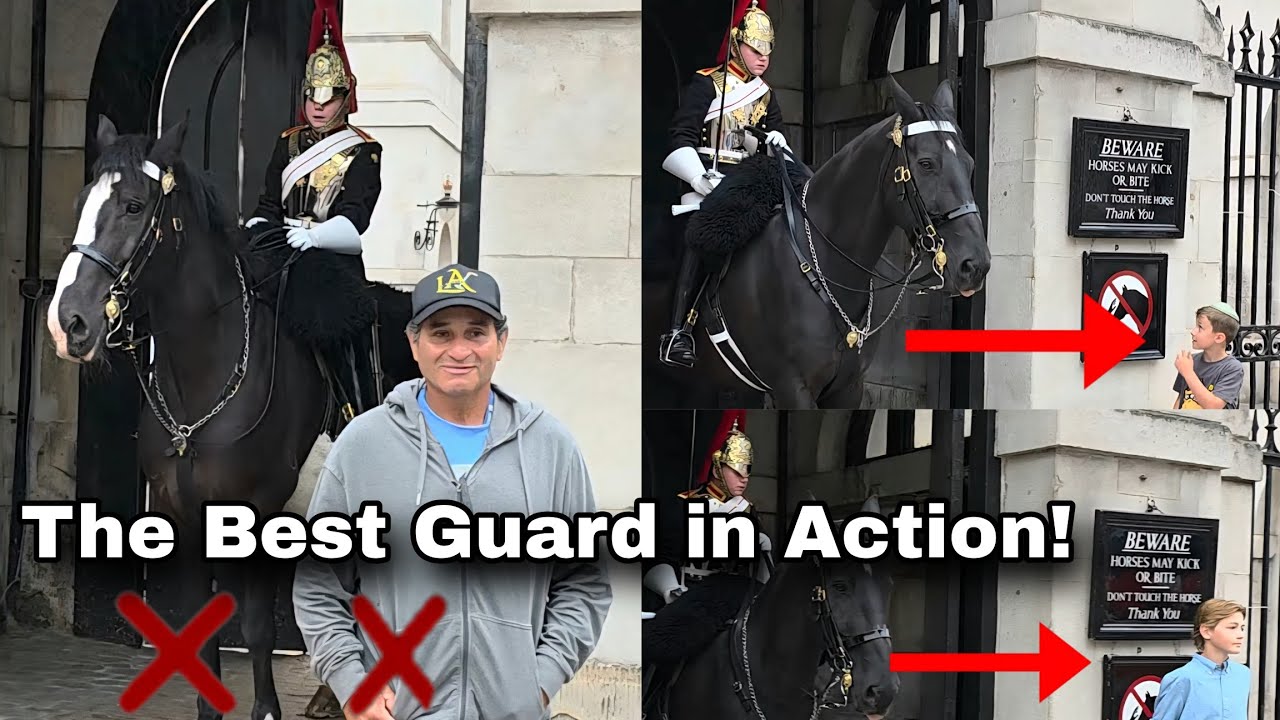 She's Back!👏 You messed with the wrong Guard!