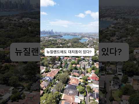 성적은 1등, 집값은 반값! 뉴질랜드 부모들만 아는 '가성비 학군지' #그래머zone