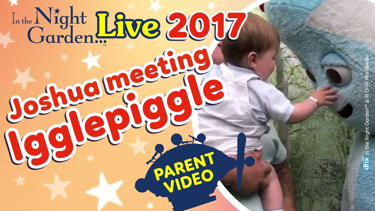 Джошуа играет с Igglepiggle на In the Night Garden Live