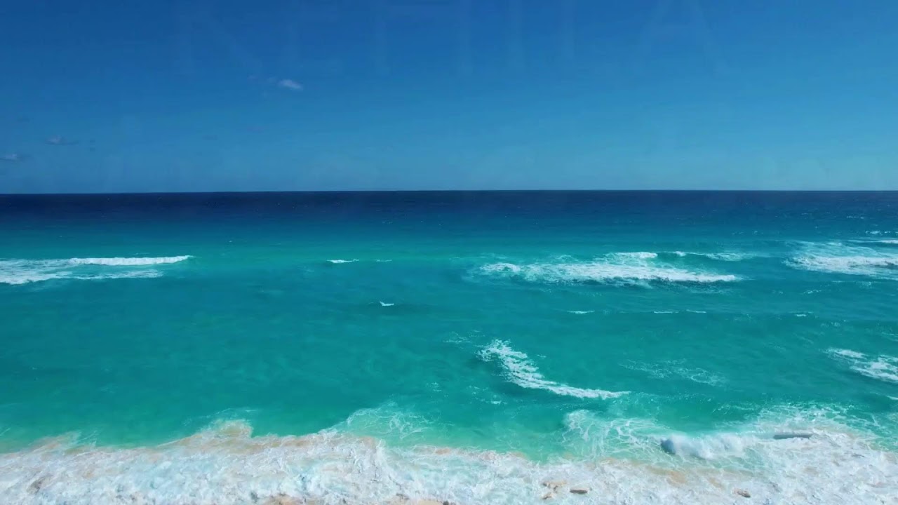 [Live] Fiesta de Purim 2026¡¡