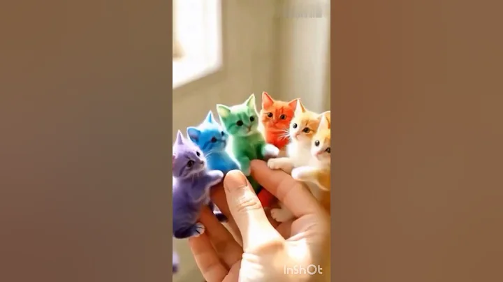 Video 11756181: cat cartoon funny kitten, kittens cat dance funny, cat cute cartoon kitten, cat funny dance dog