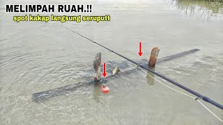 MELIMPAH RUAH.!! MANCING KAKAP PUTIH DI SPOT BARU. LEMPAR LANGSUNG SERUTUTT.!!!