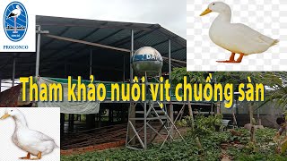 MÔ HÌNH NUÔI VỊT THỊT CHUỒNG SÀN