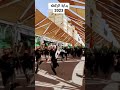 القشعمي سقط الفن 