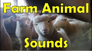 Farm Animal Sounds - Smart Daddy